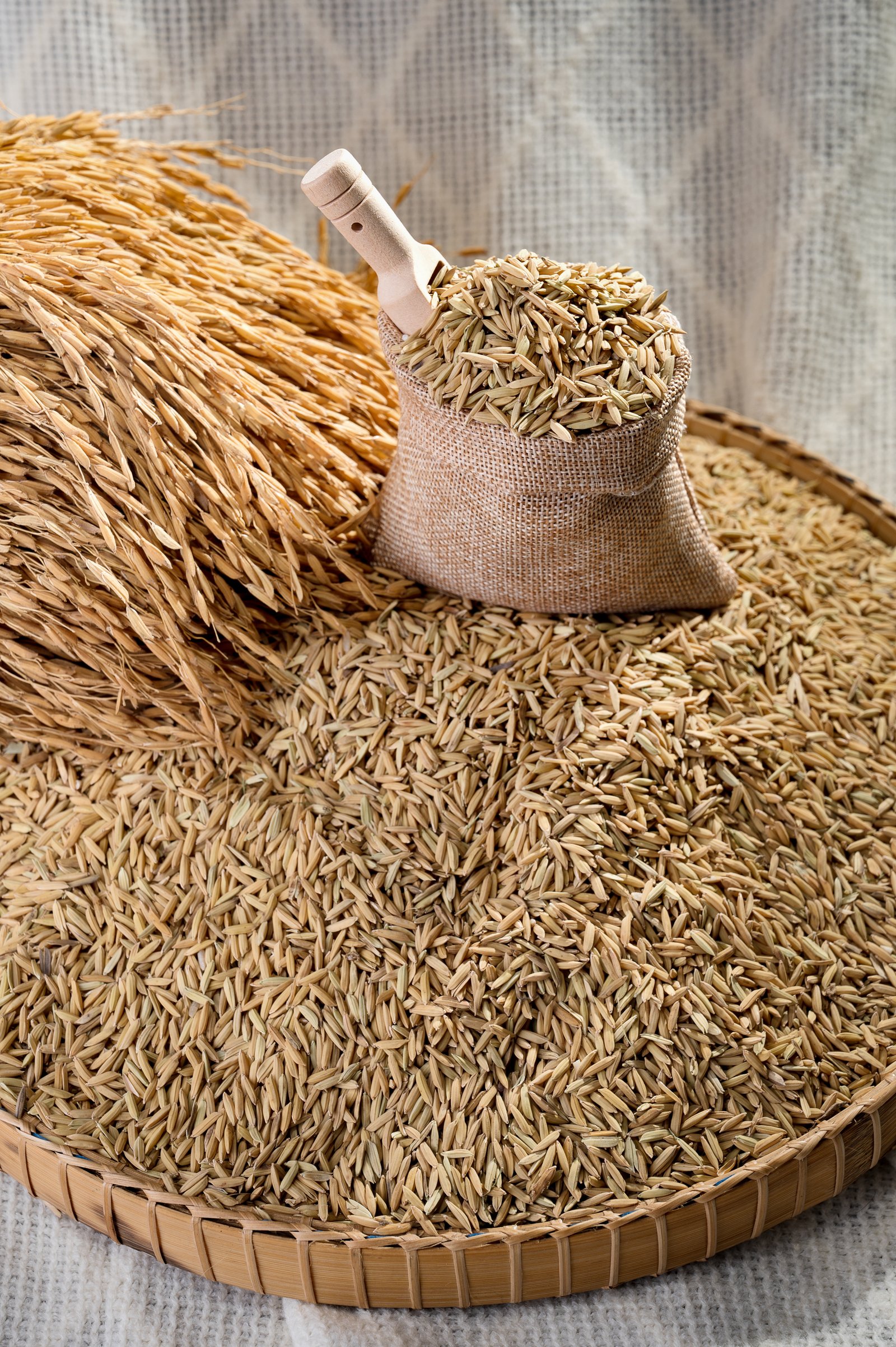 Cambodian Rice Products including Jasmine Fragrant Long Grain and Organic