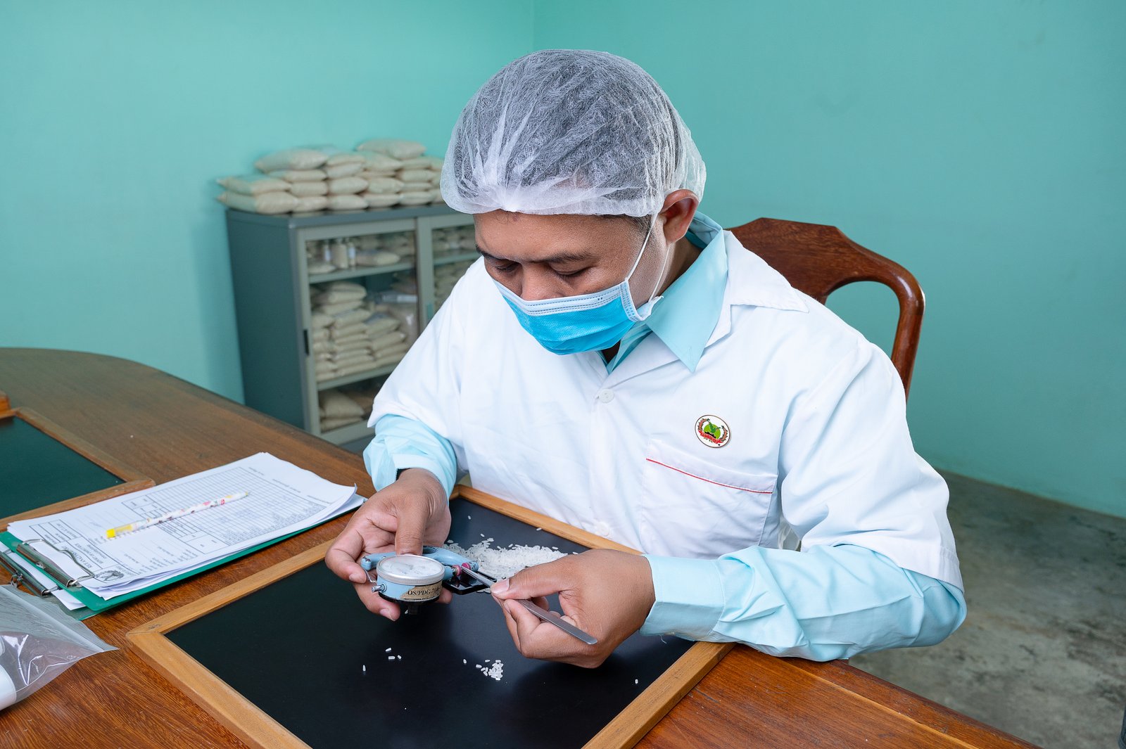 What to Look for When Selecting a Rice Supplier in Cambodia