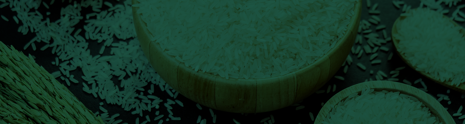 Sek Meas Rice supply chain background Cambodia